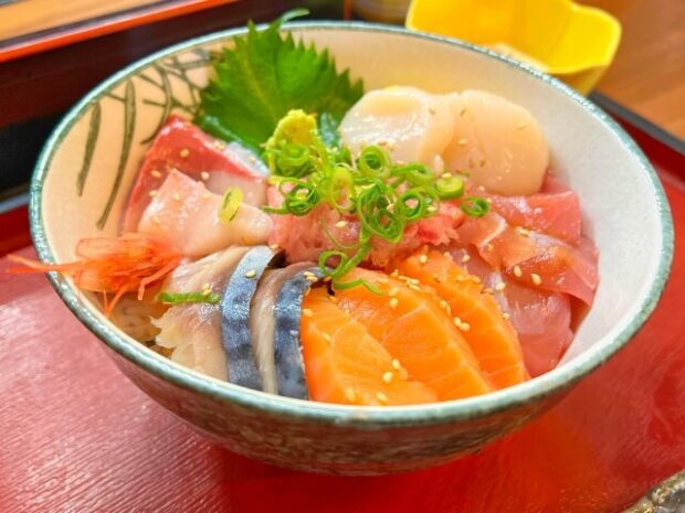 お食事処 ようちゃんの新たな物語の始まりと、これからの楽しみ方について